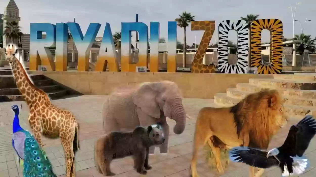 هل حديقة الحيوان في الرياض مفتوحة؟ وما هي الأسعار؟