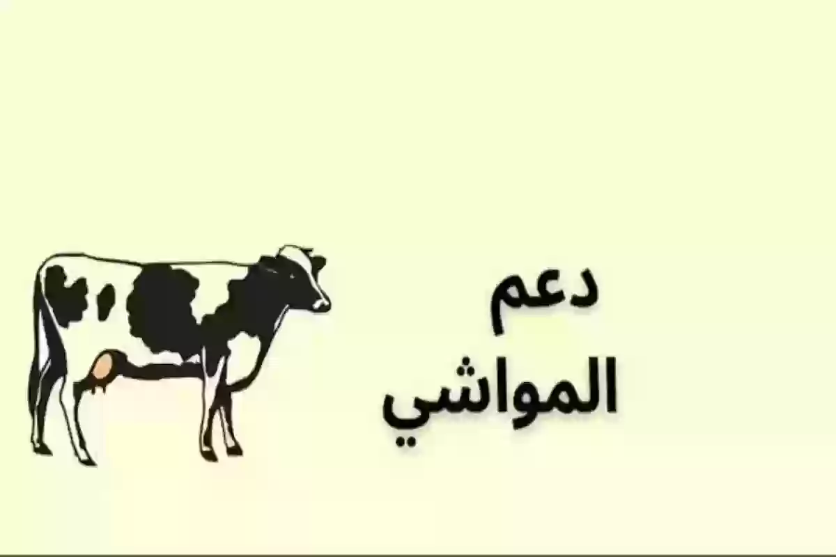 طريقة التسجيل في دعم الماشية في السعودية .. وزارة البيئة توضح