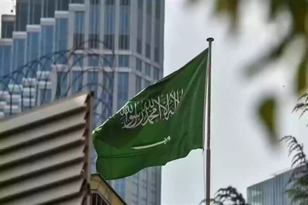 مدير شركة سعودية محال إلى للنيابة العامة بتهمة الاحتيال المالي