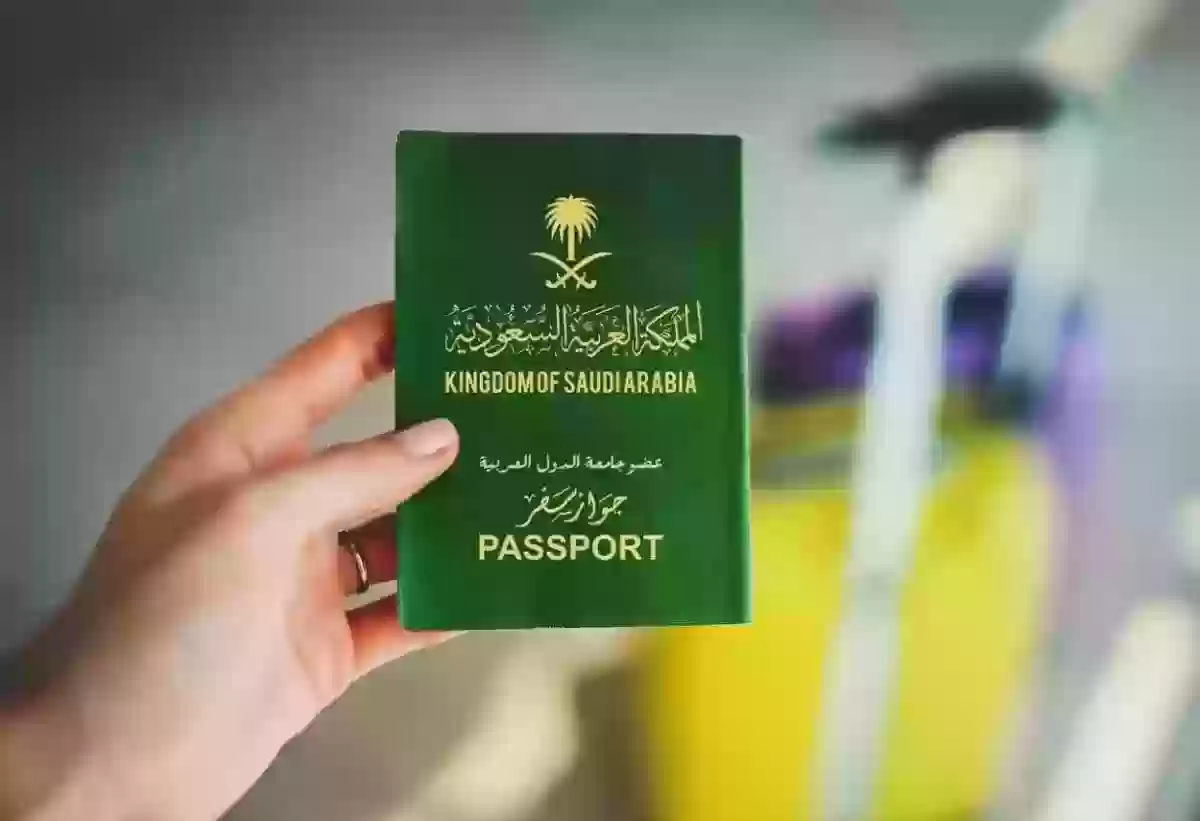 برقم الجواز  الاستعلام عن تأشيرة من منصة خدمات التأشيرات الإلكترونية إنجاز