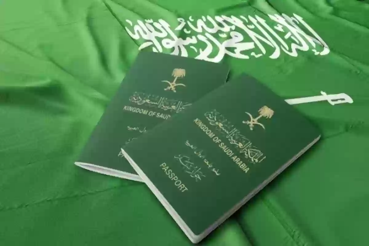 رابط وخطوات الاستعلام عن تأشيرة السعودية برقم الطلب 2024