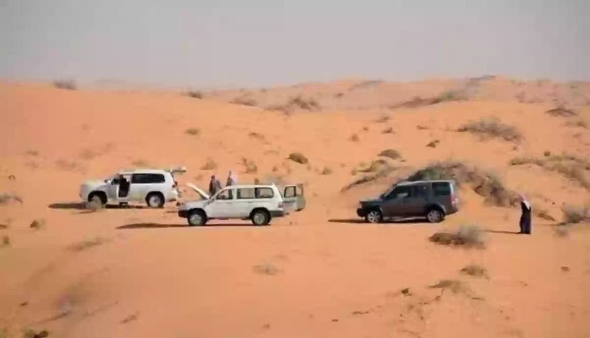 مقطع فيديو يثير الجدل والرعب على إحدى الطرق في صحراء السعودية