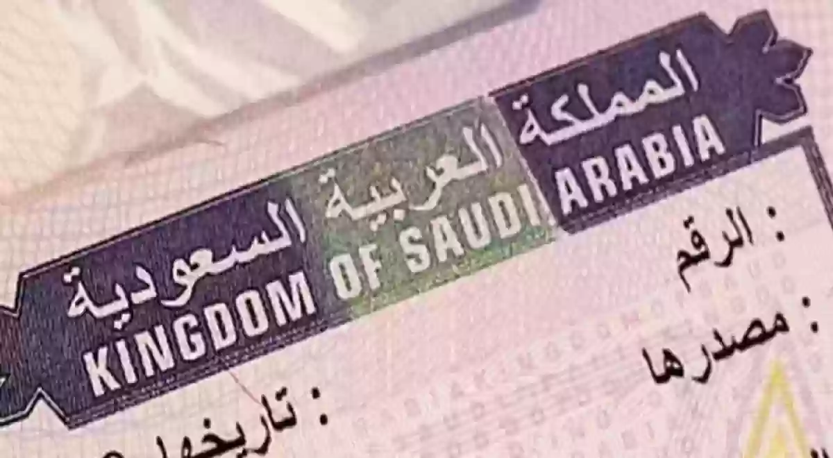 أنواع تأشيرات العمل في السعودية 2024 مع شروط ورسوم كل منها