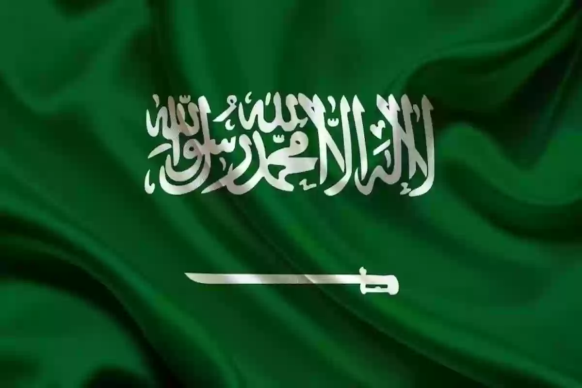 دلائل العلم السعودي.. ماذا تعني رموز علم السعودية