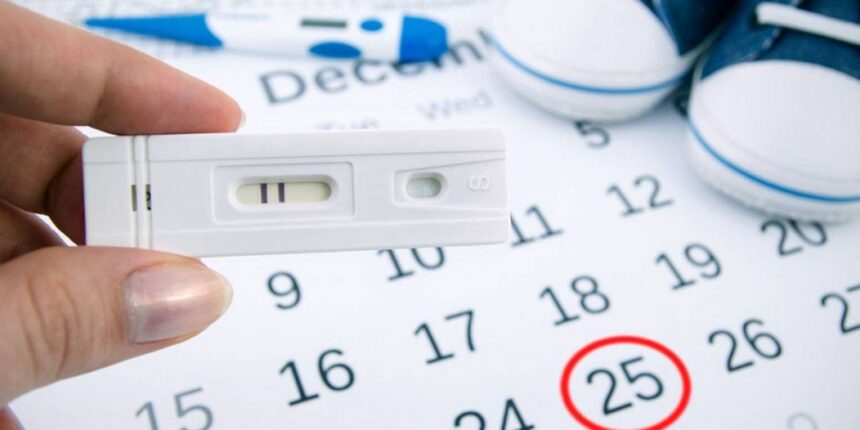 إليكم تقرير عن فرص الحمل قبل وأثناء وبعد الدورة الشهرية.. وطريقة تخطيط ما قبل الحمل